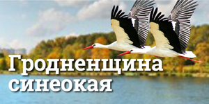 Гродненщина синеокая